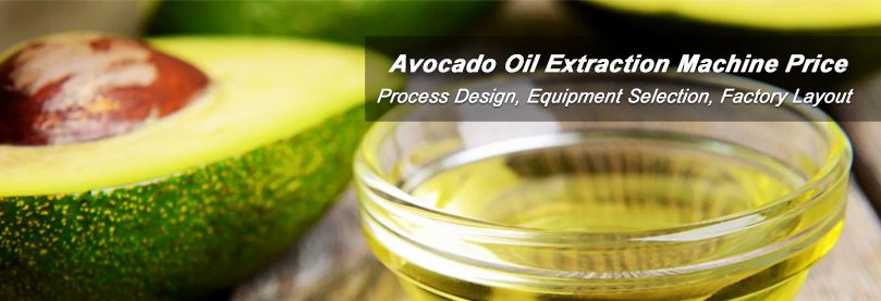 avocado oil extraction method and technology