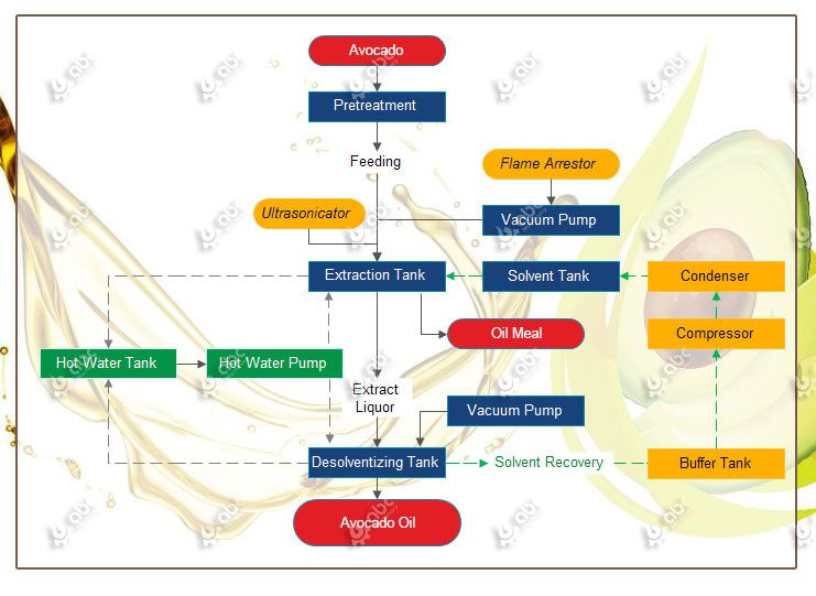 avocado oil processing procedure