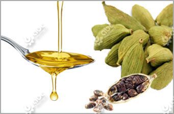 high quality cardamom oil