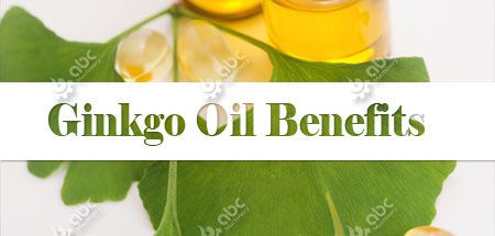 extract ginkgo biloba oil