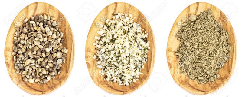 hemp seeds to hemp protein powder