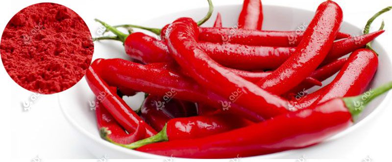capsicum red pigment and hot chili pepper