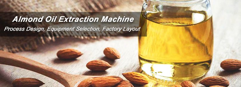 Almond Seed and Almond Oil