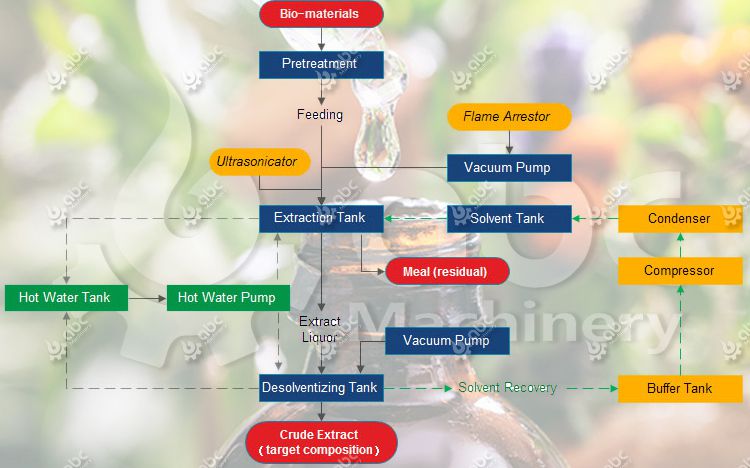 peppermint essential oil extraction process