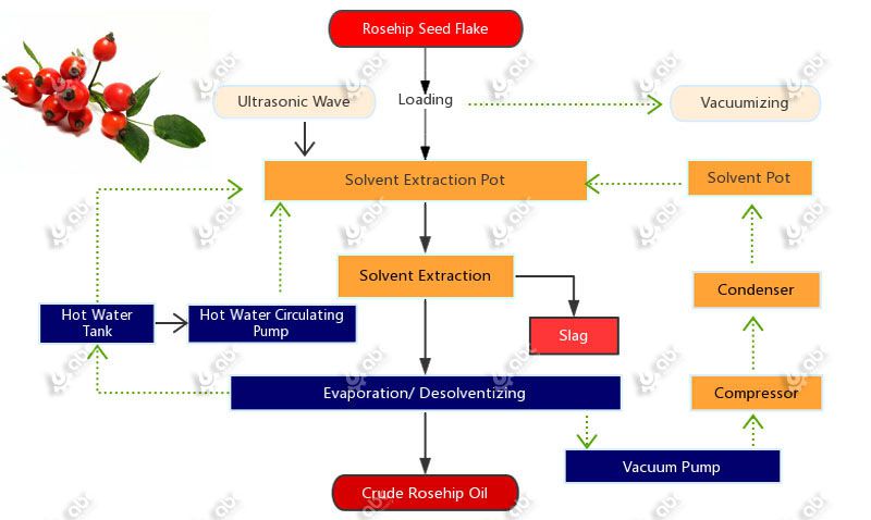 rosehip oil making procedure with advanced solvent extraction method