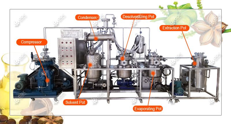 mini sacha inchi oil extracting machine at factory price