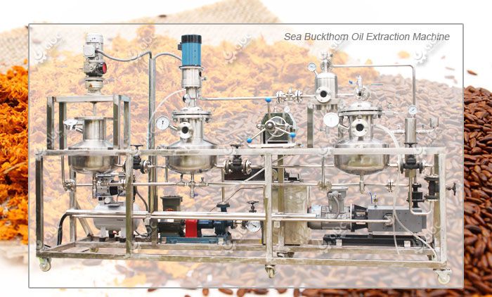 sea buckthorn oil extraction machine for low temperature oil production