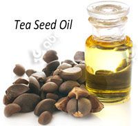 high quality tea seeds oil