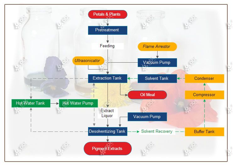 plant and petal pigment extraction process
