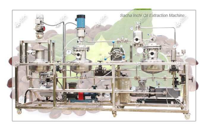 Sacha Inchi Oil Extraction Machine for sale