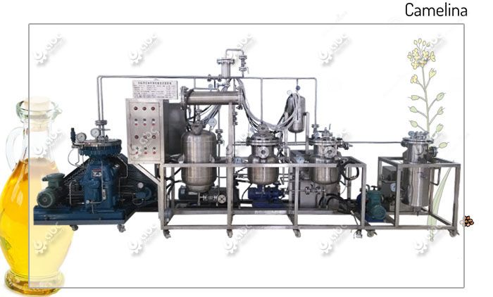 advanced camelina seed oil extraction equipment