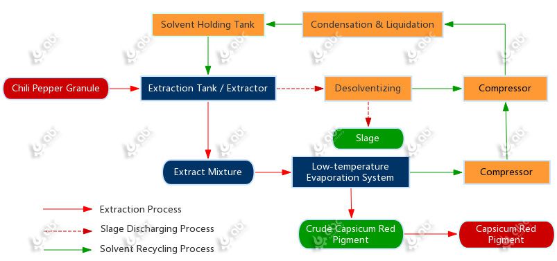flow chart of capsicum red pigment extraction