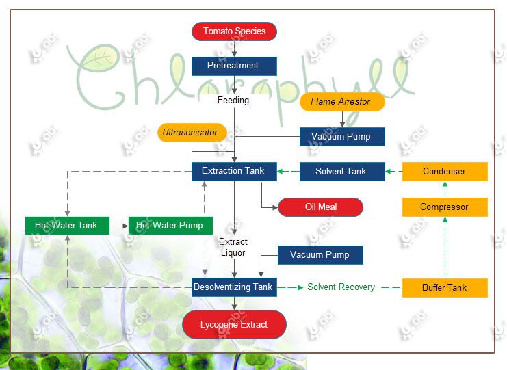 chlorophyll extraction process low temperature