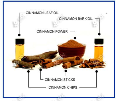 cinnamon leave oil and cinnamon bark oil