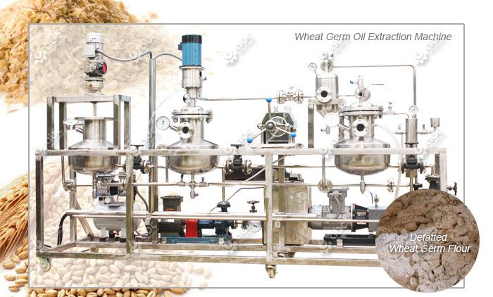 defatted wheat germ processing machine for sale