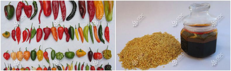 essential oil extraction from chilli seeds