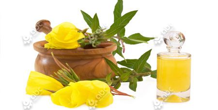 Evening Primrose Oil Extraction Methods