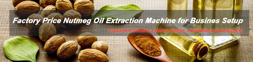 high quality nutmeg oil etxraction machine selection for business setup 