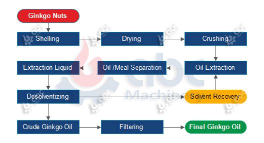 ginkgo biloba oil extraction process flow chart