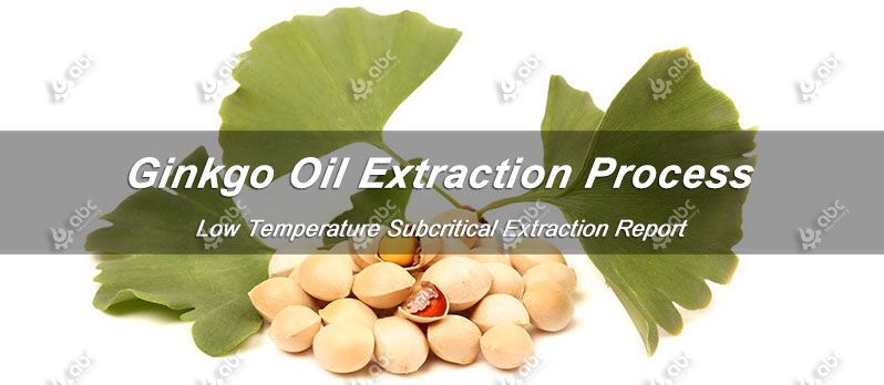 ginkgo oil extraction process and test report