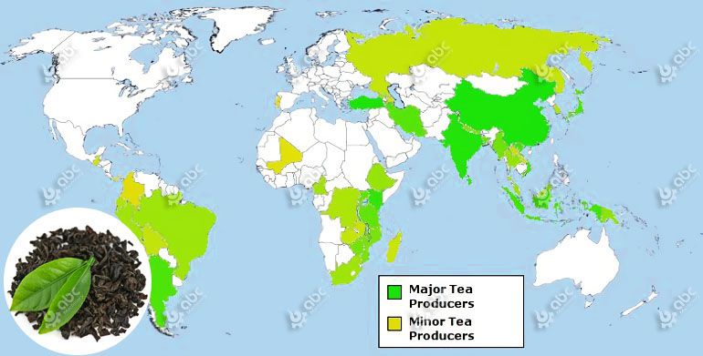 global tea production