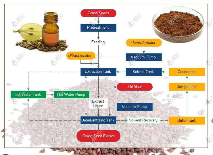 grape seed extract manufacturing process