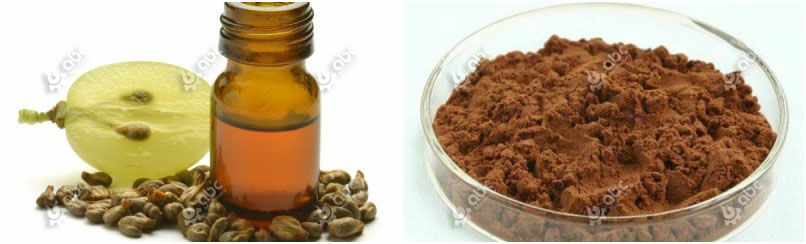 making grape seed oil and grape seed exracts