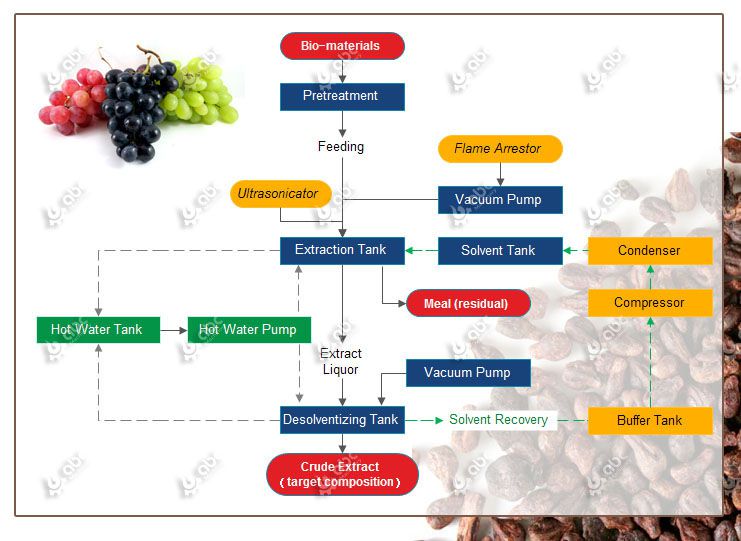 grapeseed oil extraction process