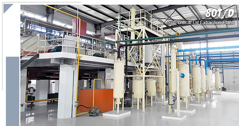 Large Soybean Germ Oil Extraction Plant