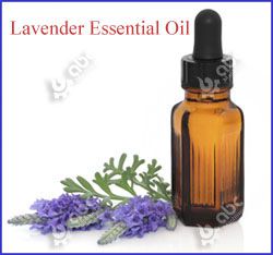 high quality lavender essential oil