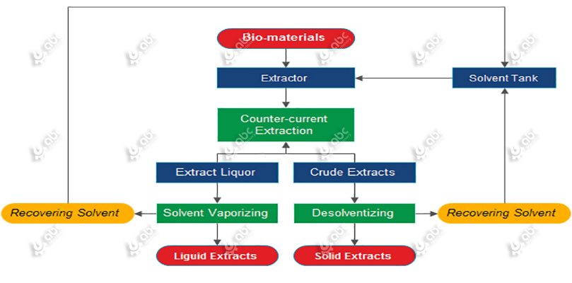 nutmeg oil extrcion process flow