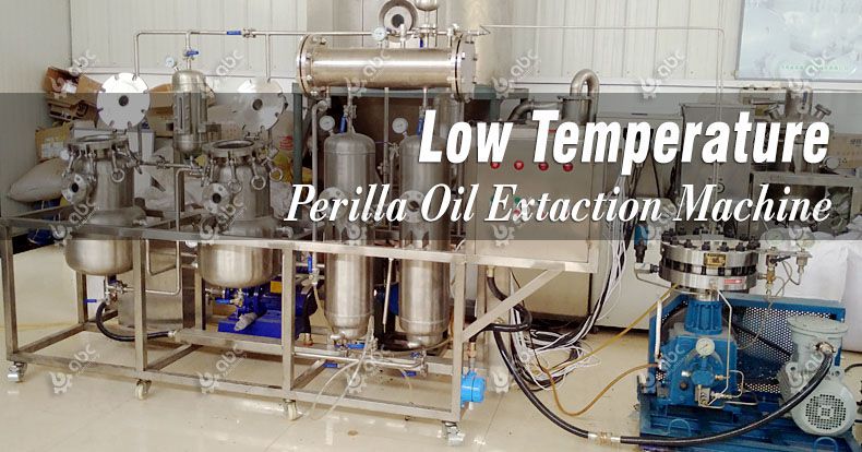 low temperature perilla oil extraction machine for small production
