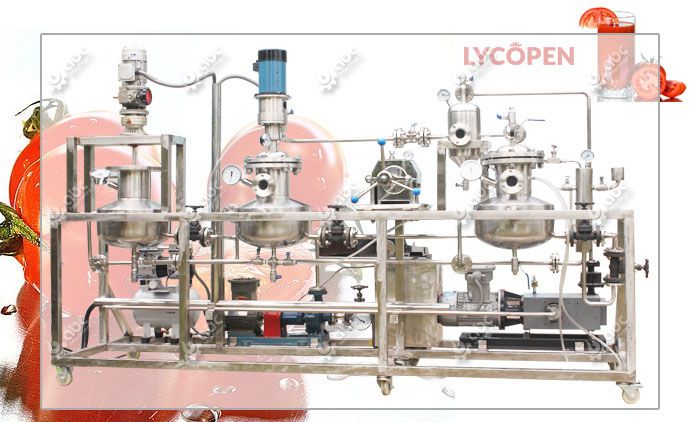 lycopene extraction machine for sale low cost