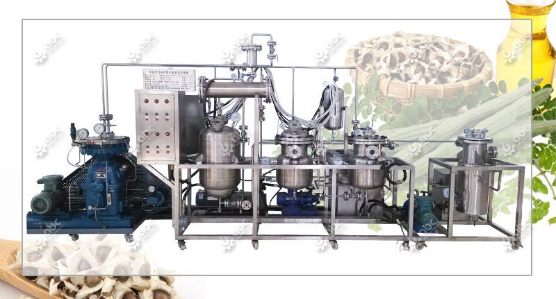 low cost moringa oil extraction machine