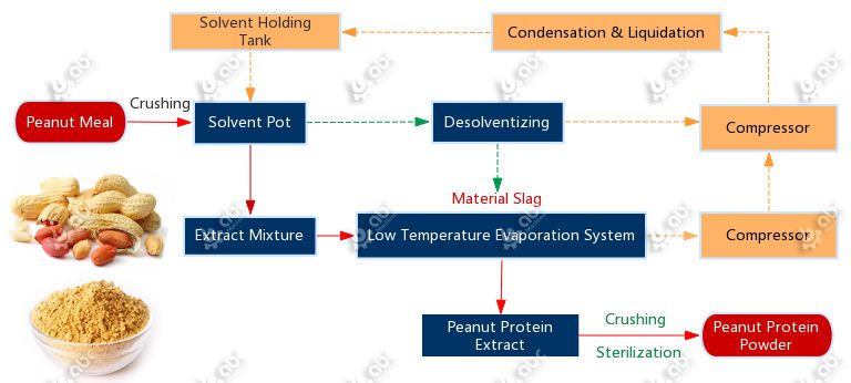 process of peanut protein powder making