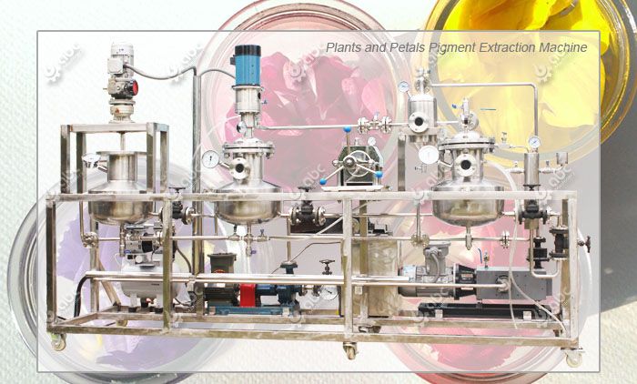 petals pigment extraction machine for sale