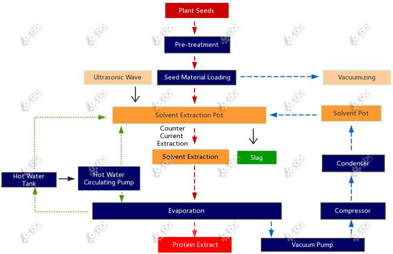 plant protein extraction process