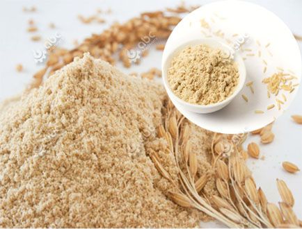 rice bran protein