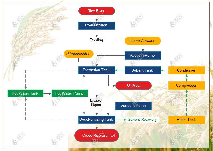 best rice bran oil extraction process