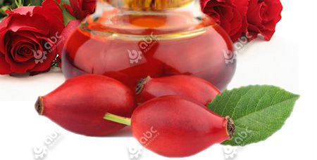 Rosehip Oil Extraction Procedure