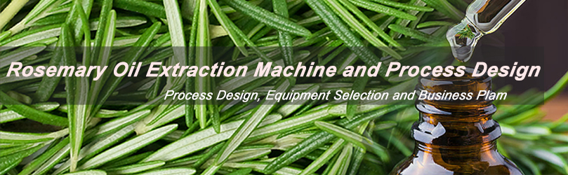 factory price rosemary oil extraction machine for business setup