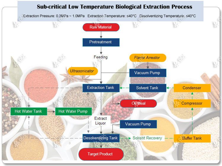 low temperature extracting process for sandalwood oil