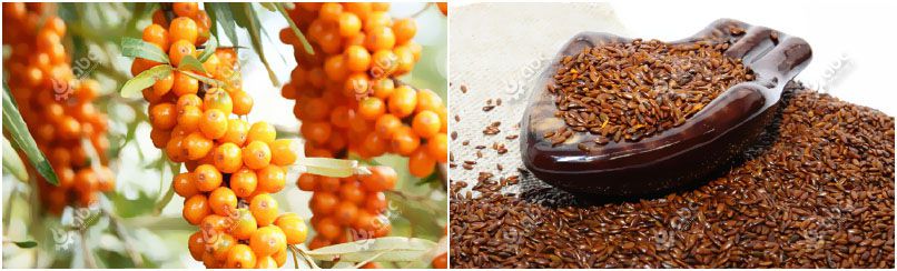 sea buckthorn fruits and seeds