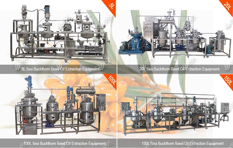 factory sea buckthorn seed oil extraction equipoment