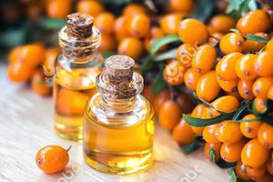 high quality sea buckthorn seed oil