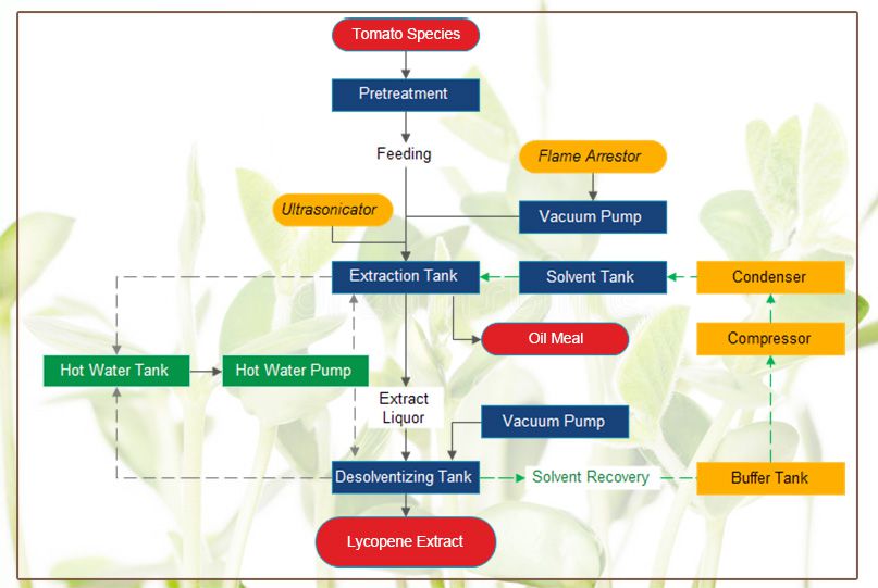 Soybean Germ Oil Extraction Process