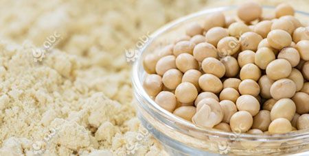 Soy Protein Powder Processing