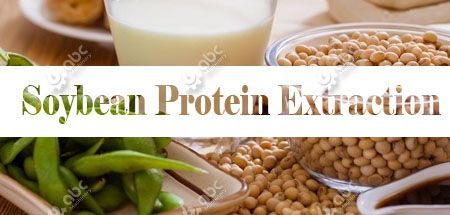 soybean protein processing business plan