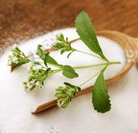 stevia extract benefts