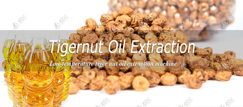 tigernut oil extraction machine